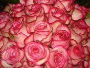 Цветы, продажа, доставка