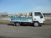 продам дрова березовые