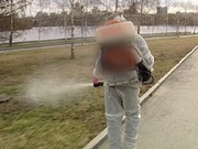 Уничтожение комаров,  тараканов,  мокриц,  муравьев,  клещей,  грызунов