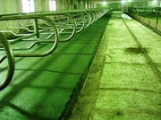 резиновые покрытия для коровников,  конюшен 