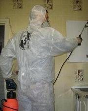 Дезинсекция                        