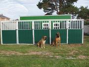 Гостиница для собак и кошек