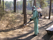 УНИЧТОЖЕНИЕ КОМАРОВ В САМАРЕ ОБРАБОТКА ОТ КОМАРОВ НА ДАЧЕ 89170327271