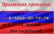 Временная регистрация по прибытию в Калининград или Область. от 1500р.