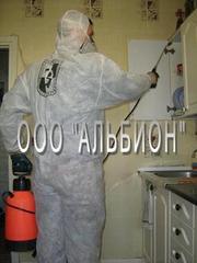 Уничтожение насекомых Самара