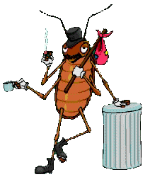 Дом без насекомых