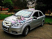 авто на свадьбу / украшение бесплатно !