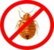 Дезинсекция. Избавим от клопов