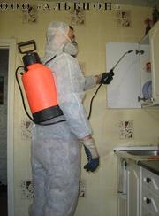 Дезинсекция