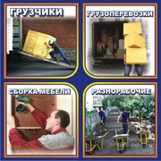 Всегда трезвые грузчики в Вологде !