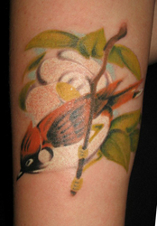 Студия татуировки и писинга  