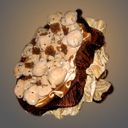 букеты из игрушек