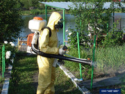 Избавим от неприятных запахов,  насекомых,  грызунов,  сорняков