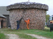 Дрова Березовые колотые.Сухие.Всегда в наличии.Доставка.Длинна 30-35 .