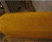 Чистка ковров и мягкой мебели 