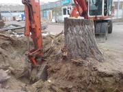 Выкорчевывание деревьев