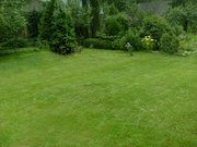 Рулонный газон. Озеленение участков.