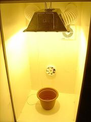 Изготовление гроубоксов под заказ