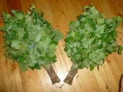 Продам экологически чистые березовые веники. 