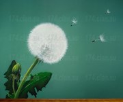 Роспись интерьеров,  граффити