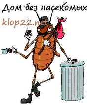 Дом без насекомых