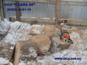 Спил (удаление),  кронирование,  обрезка деревьев и веток в Саратове 