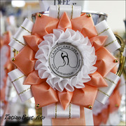 Наградные розетки