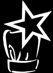 Услуги шеф-повара на дому