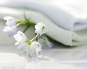 Уборка квартир и домов,  предлагаем услуги домработниц!