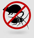 Дезинфекция,  дератизация,  дезинсекция.