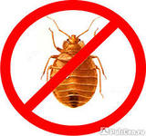 Уничтожение клопов. Гарантия.