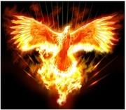 Новый Год - Лучшая Судьба. сильнейшее магическое воздействие.