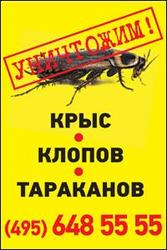 Постельный клоп - главный враг городских жителей. Избавим!