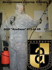 Уничтожение насекомых