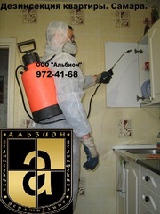 Уничтожить,  Избавиться от тараканов,  клопов,  блох,  мух,  муравьев