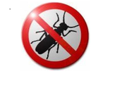 УНИЧТОЖЕНИЕ ВРЕДНЫХ НАСЕКОМЫХ и запахов