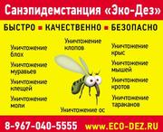 Постельный клоп мешает жить - уничтожим быстро и надежно - Москва 