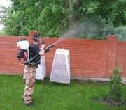 Уничтожение клещей, комаров,  тли,  и др.насекомые