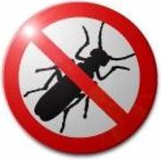 Уничтожение насекомых, грызунов, клещей НПФ 