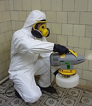 Услуги по уничтожению насекомых,  грызунов