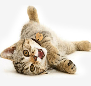 А где распечатать фотографии?