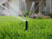 Рулонный Газон под ключ 89659454843