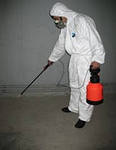 Дезинсекция Дератизация