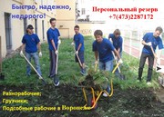 Мобильные бригады грузчиков и разнорабочих