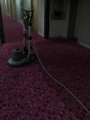 Выездная химчистка ковров и ковровых покрытий