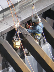 Спил, валка, кронирование, удаление деревьев. Арбористика. Альпинисты