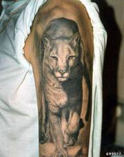 Делаю татуировки на дому. Большой опыт, стерильность, уход за тату