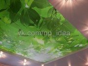 Натяжные потолки - каждый второй в подарок!