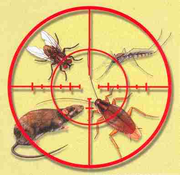 Тараканов и клопов нет