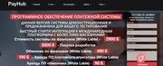 Система обработки электронных платежей «PayHub»